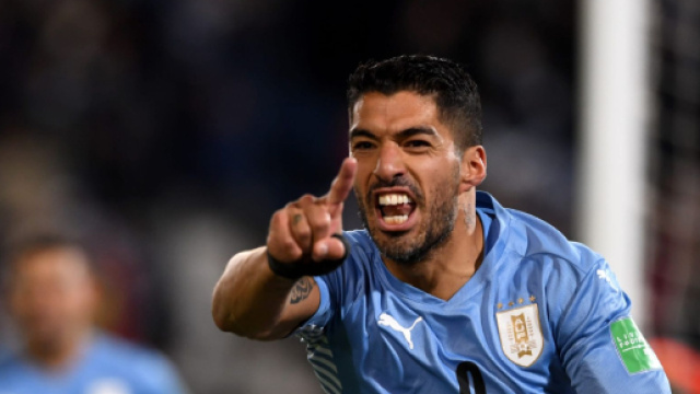 Juventus, Luis Suarez si offre alla Juventus, bianconeri freddi