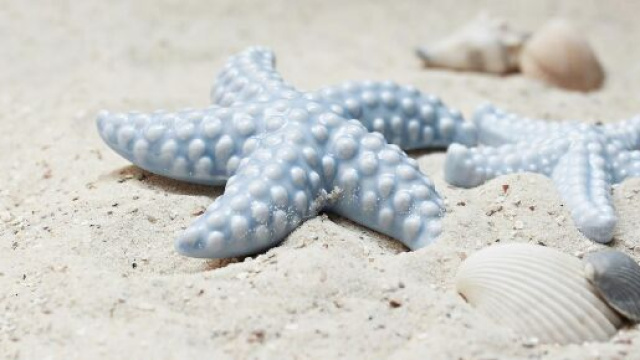 L'oroscopo di venerd&igrave; 17 giugno con le pagelle zodiacali: voto 8 per il Leone.