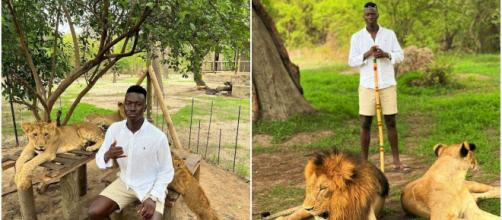 OM : Pape Gueye passes ses vacances avec des lions et surprend les fans (captures Instagram Pape Gueye et YouTube)