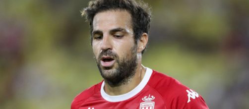 Calciomercato Sampdoria: Fabregas sogno per il centrocampo.