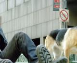 Will Smith em cena do filme "Eu sou a Lenda", de 2007 (Divulgação/Warner Bros. Pictures)