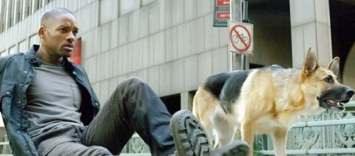 Will Smith em cena do filme "Eu sou a Lenda", de 2007 (Divulgação/Warner Bros. Pictures)