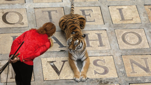 Fort-Boyard : l’émission reprend en été, mais sans les tigres cette fois-ci - Source : France 2