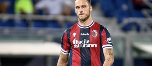 Marko Arnautovic, attaccante del Bologna.