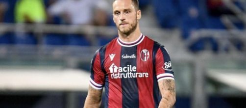 Marko Arnautovic, giocatore del Bologna.