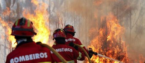 Incêndios de grandes dimensões devastam inúmeros terrenos e deixam pessoas sem casas (Divulgação/Bombeiros)
