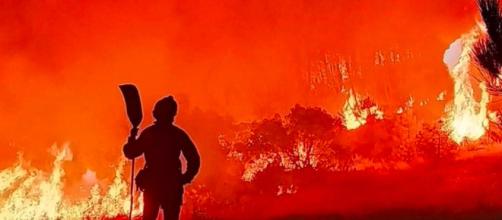 Los incendios han arrasado con 30.000 hectáreas del territorio del país (Twitter/@proteccioncivil)