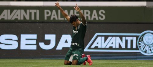 Palmeiras encara o América-MG nesta quinta-feira (Cesar Greco/Palmeiras)