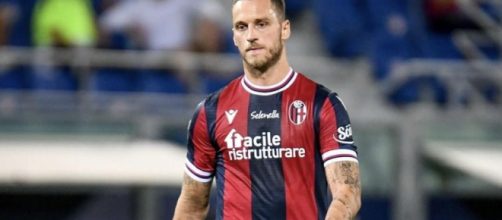 Marko Arnautovic, giocatore del Bologna.