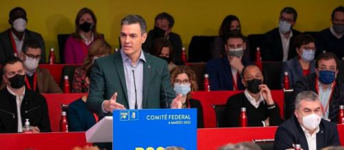 Pedro Sánchez pidió a sus ministros que prescindieran de la corbata para ahorrar aire acondicionado (Instagram, sanchezcastejon)