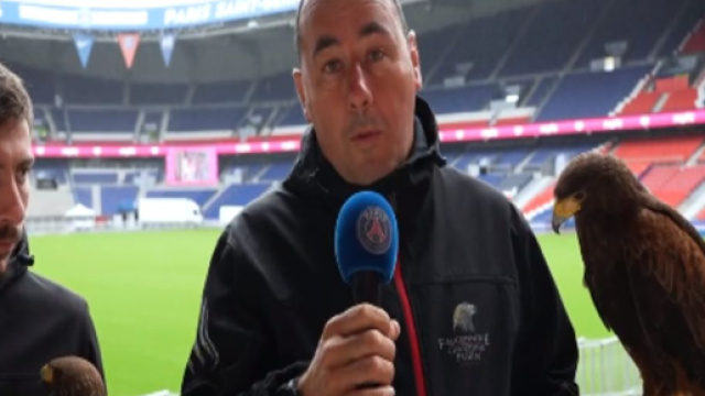 Les faucons à la rescousse de la pelouse du PSG - Source : Capture Twitter