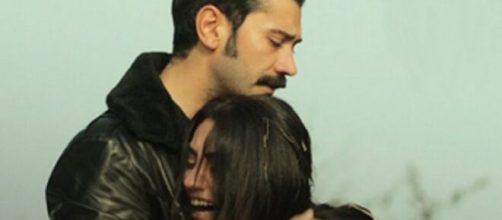 Terra amara, spoiler 19/08: Akkaya libera Gulten dalla stalla.