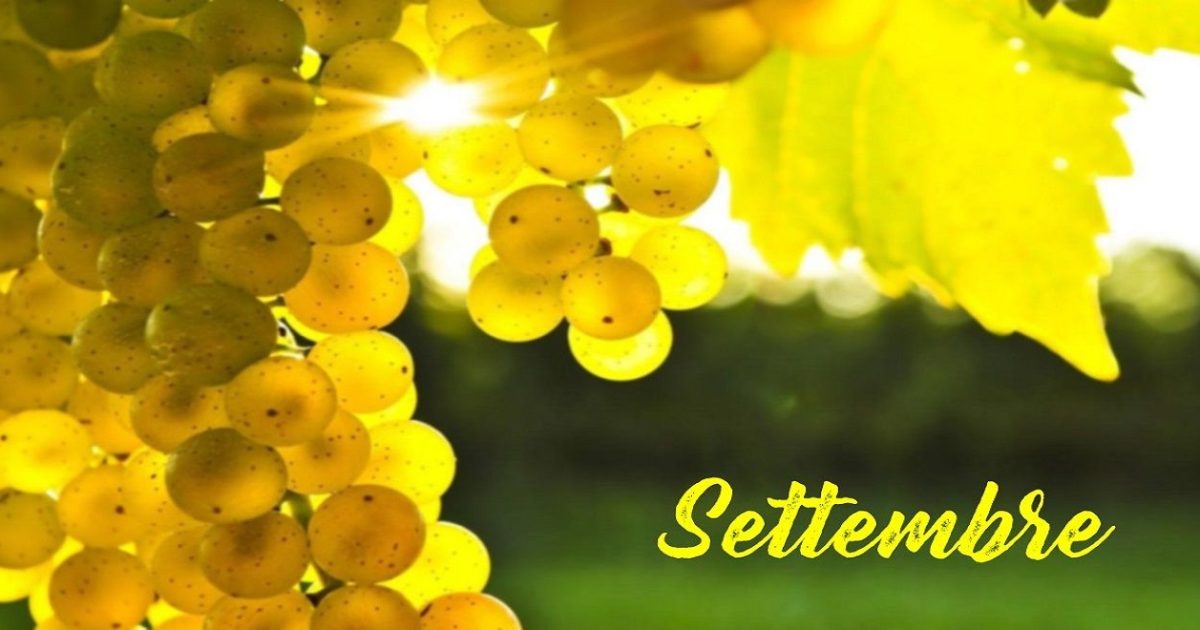 L'oroscopo Del Mese Di Settembre: Vita Sentimentale Appagante Per I ...