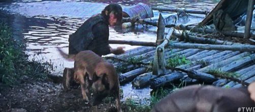 Cachorro de Daryl não deve morrer em "The Walking Dead" (Reprodução/AMC)