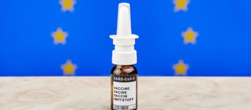 Vaccino nasale per covid (Flickr).