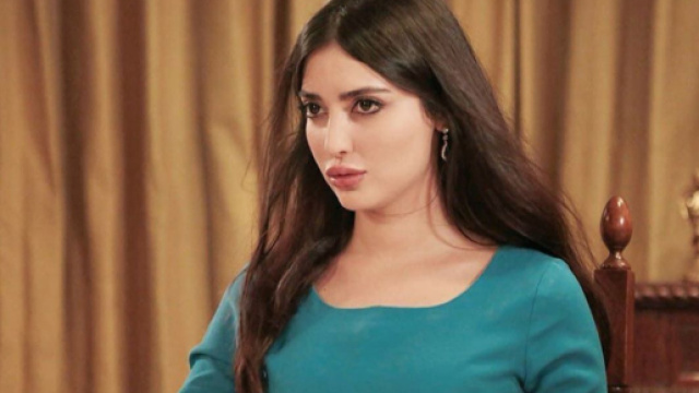 Terra Amara, Müjgan scopre che Yilmaz è il padre di Adnan.