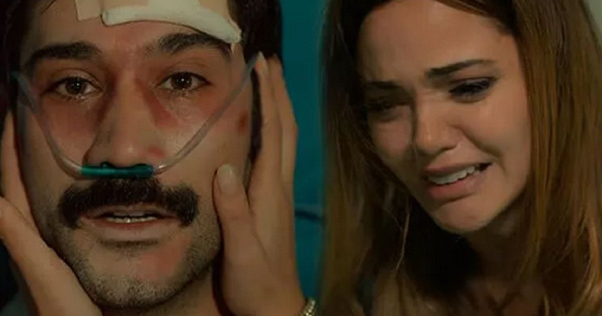 Terra amara, trame terza stagione il