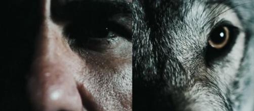 L’annonce 'hollywoodienne' des Wolves pour la signature de Diego Costa fait parler (capture YouTube)