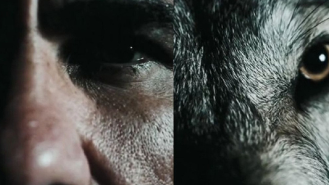 L’annonce 'hollywoodienne' des Wolves pour la signature de Diego Costa fait parler (capture YouTube)