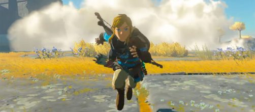 Link takes to the skies for the first time in over a decade (Image sourcve: Nintendo)