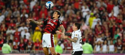 Copa do Brasil: Flamengo ou Corinthians? Quem leva a taça? (Arquivo Blasting News)