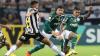 Brasileirão: Palmeiras enfrenta o Botafogo na 29ª rodada, buscando manter vantagem na ponta