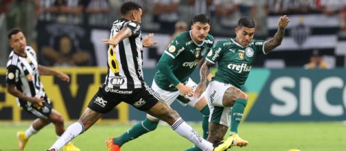 Palmeiras tem 92% de chance de conquistar o título, segundo o Globo Esporte (Cesar Greco/Palmeiras)
