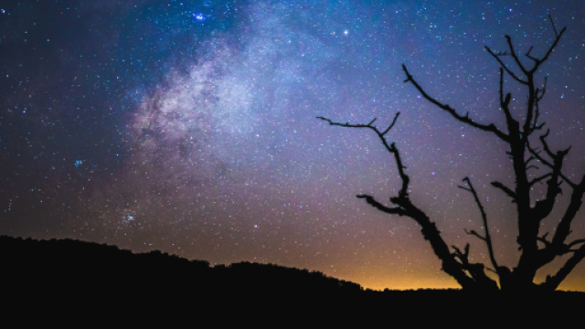 Previsioni astrologiche del 30 settembre: Cancro stressato, Scorpione innamorato.