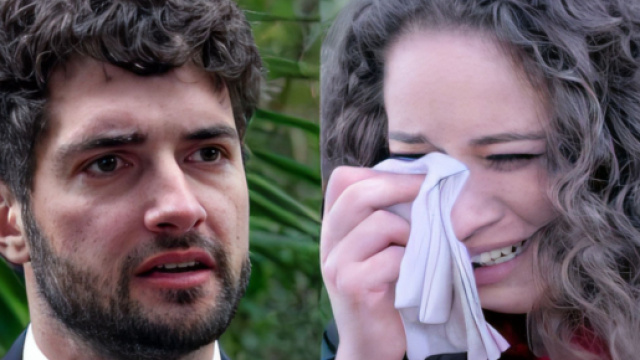 Un posto al sole, anticipazioni 7 ottobre: Niko spacca la cornice con la foto di Susanna.