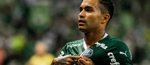 Palmeiras visita o Bragantino querendo manter vantagem na ponta da tabela (Arquivo Blasting News)