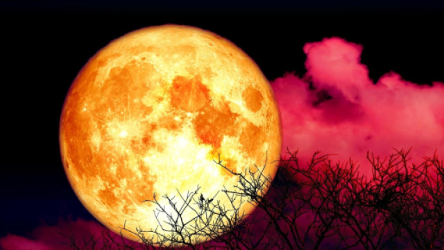 L'oroscopo del giorno 6 ottobre: Luna in Pesci, Acquario intraprendente (2&ordf; parte).