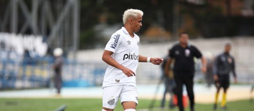 Santos garantiu vaga na segunda fase antecipadamente (Pedro Ernesto/Santos FC)