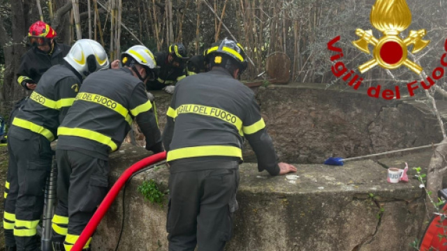 Un giovane si è calato nel pozzo per salvare il cane, muore annegato.