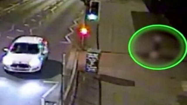 Yuseab Woldeab, stupratore si finge tassista e rapisce una donna (DCPolice)