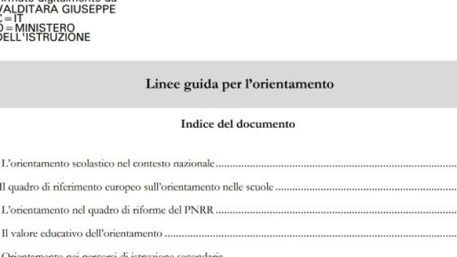 Linee Guida riforma Orientamento 30 ore annuali.