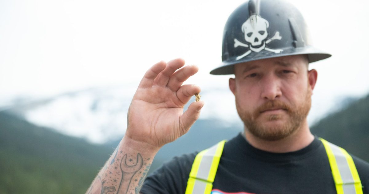 'Gold Rush' star Rick Ness still absent from gold mining show