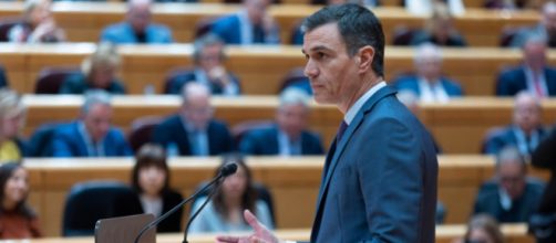 Pedro Sánchez anunció la subida del salario mínimo durante su comparecencia en el Senado (Twitter/Senadoesp)