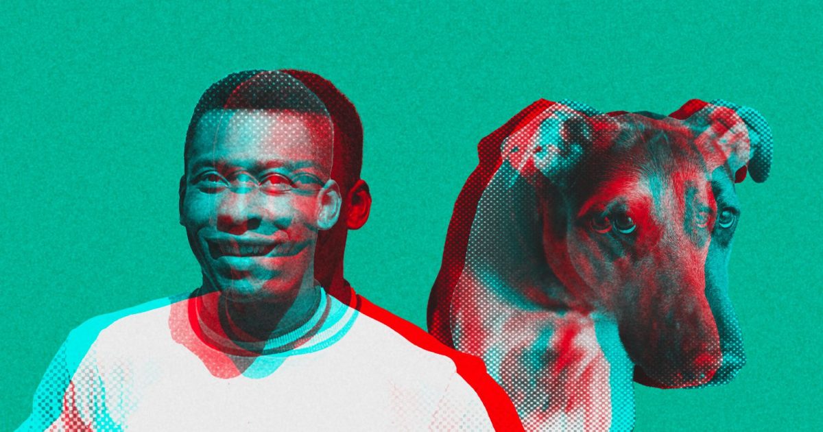 It’s not true from Pelé’s feet displayed in FIFA museum to the
