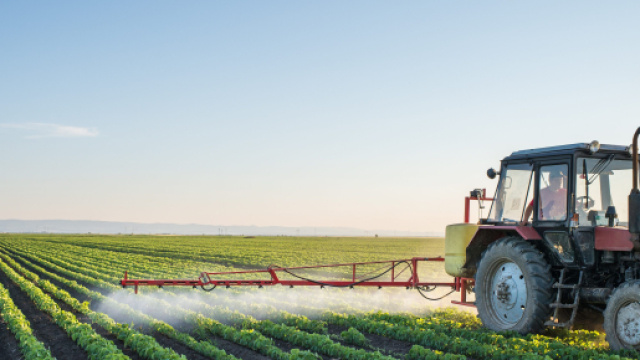 Autunno 2023, le temperature estive mettono in difficolt&agrave; agricoltura e ambiente.