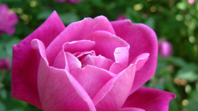 L'oroscopo e posizioni di lunedì 16 ottobre, amore: miglioramenti per Scorpione.