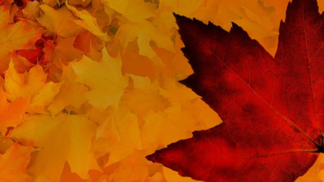 Oroscopo weekend del 28-29 ottobre 2023.