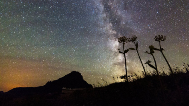Astrologia e classifica del 20 ottobre: Cancro timido, Scorpione positivo.
