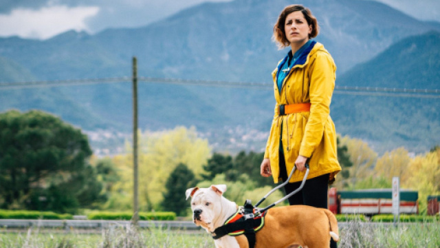 Cambio programmazione Rai novembre