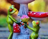 Oroscopo della settimana dal 9 al 15 ottobre, amore e soldi: colpo di fortuna per Pesci.