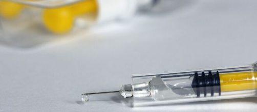 As pesquisas foram fundamentais para a eficácia das vacinas (Reprodução/Pixabay)