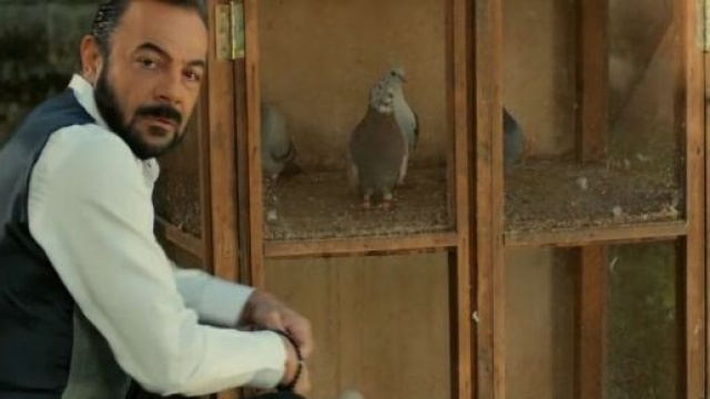 Novità programmazione Mediaset 2023