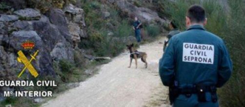 Los efectivos del Seprona buscan a uno de los perros que atacó a la joven en Zamora el pasado lunes (X, @guardiacivil)