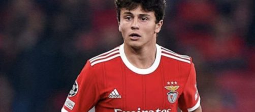 Joao Neves, centrocampista del Benfica.