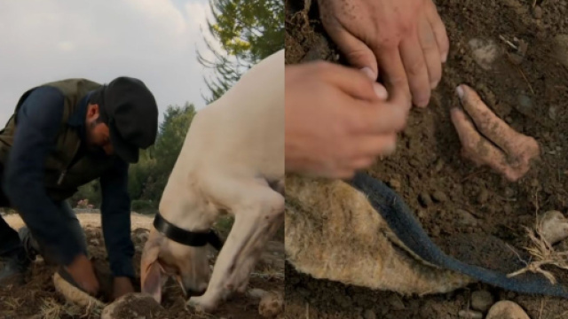 Terra amara anticipazioni: il corpo di Sevda viene trovato sottoterra da alcuni cacciatori.