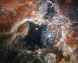 Previsioni astrologiche del 4 ottobre: Acquario romantico, Gemelli tesi.